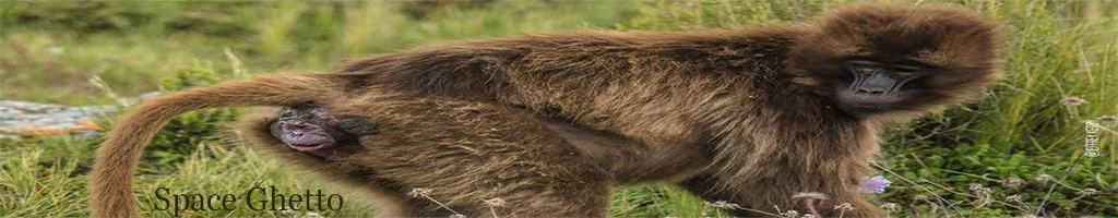 Space Ghetto